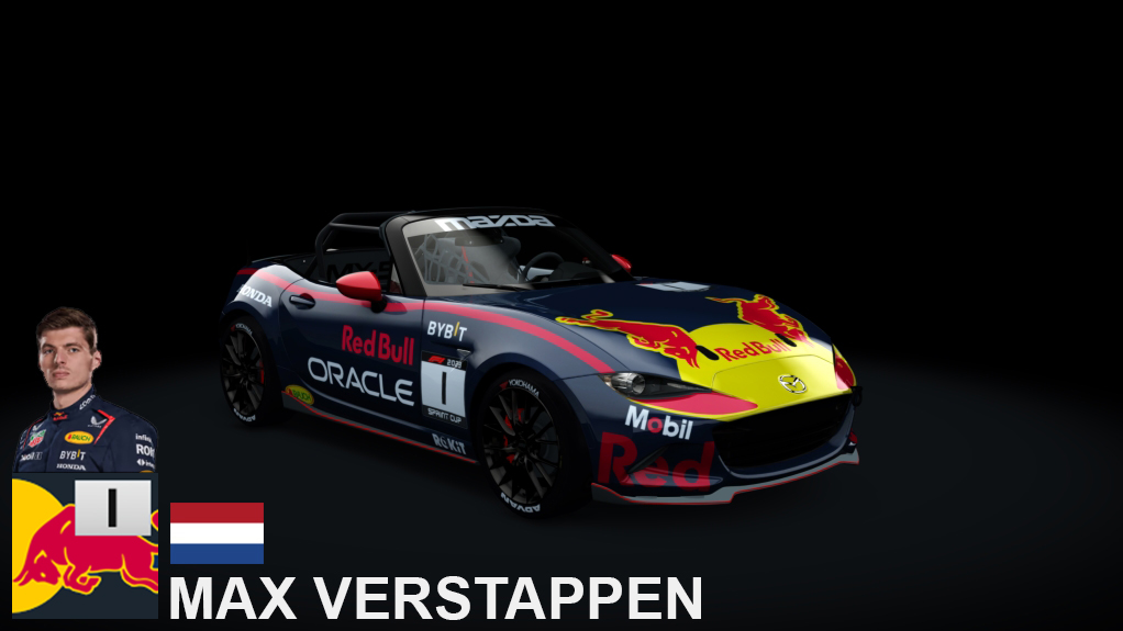 Car Skin