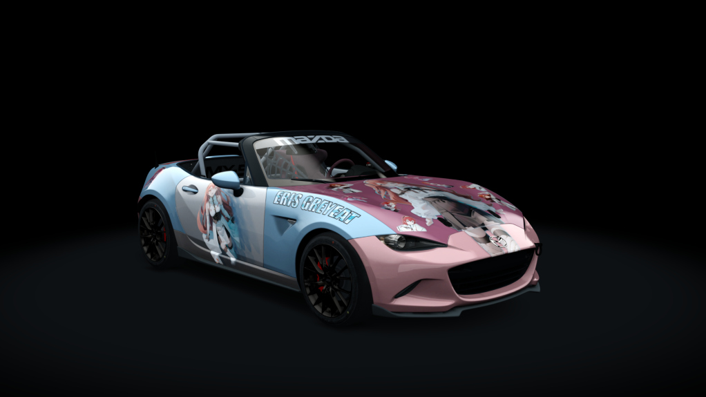 Car Skin