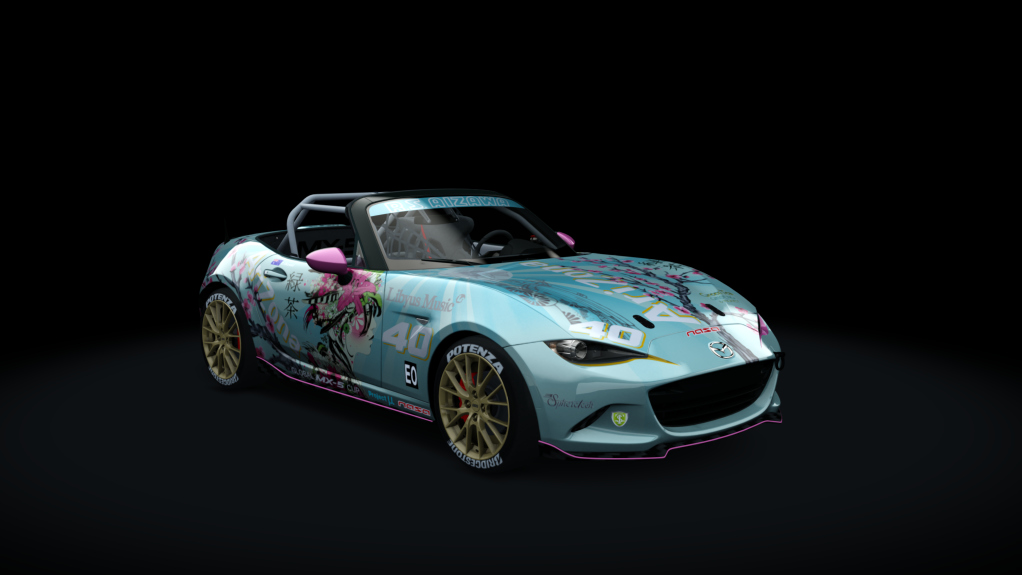 Car Skin