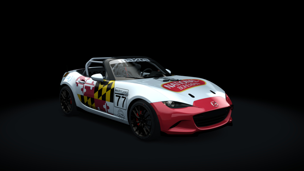 Car Skin